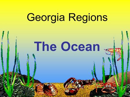 Georgia Regions The Ocean.