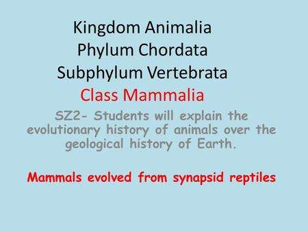 Kingdom Animalia Phylum Chordata Subphylum Vertebrata Class Mammalia SZ2- Students will explain the evolutionary history of animals over the geological.