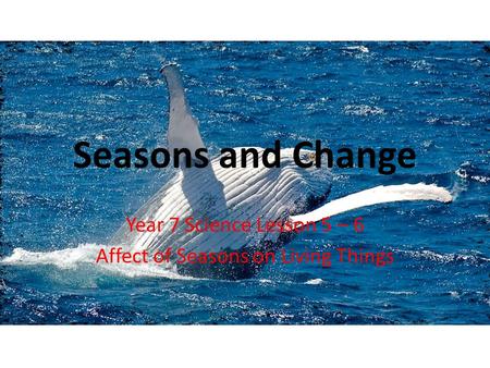 Seasons and Change Year 7 Science Lesson 5 – 6 Affect of Seasons on Living Things.