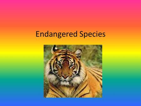 Endangered Species. Endangered Species Act Nothing is more priceless and more worthy of preservation than the rich array of animal life with which our.