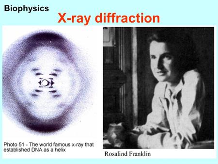 X-ray diffraction Biophysics. W. K. Röntgen (1845 – 1923) Wife’s hand.