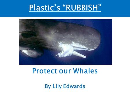 Plastic’s “RUBBISH” Protect our Whales By Lily Edwards.