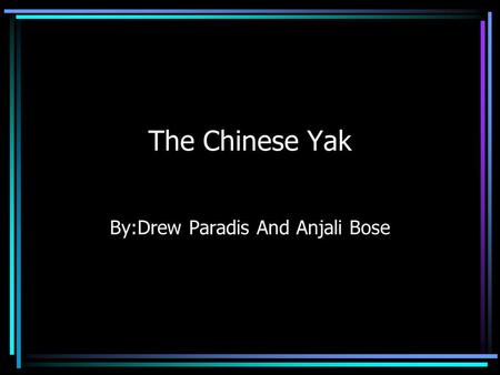 The Chinese Yak By:Drew Paradis And Anjali Bose Features of the Yak Yaks are are long,large haired mammals They can grow up to 3 to 6 feet tall They.