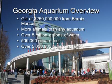 Gift of $250,000,000 from Bernie Marcus More animals than any aquarium Over 8 million gallons of water 500,000 square feet Over 5,000,000 guests so far.