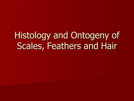 Histology and Ontogeny of Scales, Feathers and Hair.