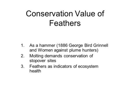 Conservation Value of Feathers 1.As a hammer (1886 George Bird Grinnell and Women against plume hunters) 2.Molting demands conservation of stopover sites.