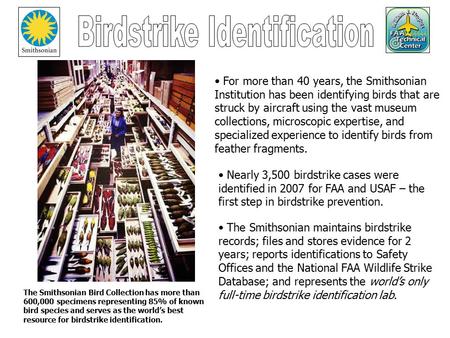 The Smithsonian Bird Collection has more than 600,000 specimens representing 85% of known bird species and serves as the world’s best resource for birdstrike.