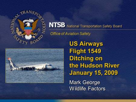 Office of Aviation Safety US Airways Flight 1549 Ditching on the Hudson River January 15, 2009 Mark George Wildlife Factors.