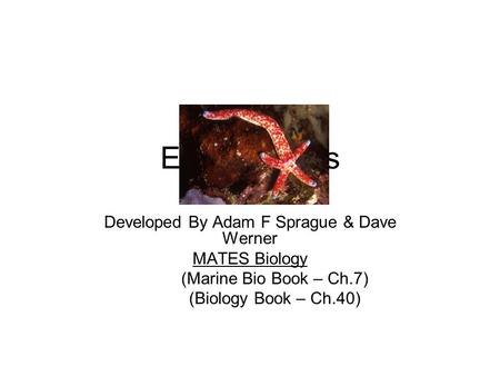 Echinoderms Developed By Adam F Sprague & Dave Werner MATES Biology (Marine Bio Book – Ch.7) (Biology Book – Ch.40)