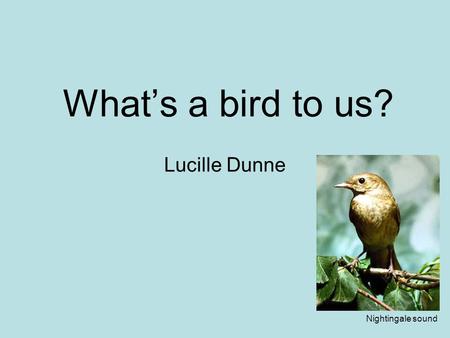 What’s a bird to us? Lucille Dunne Nightingale sound.