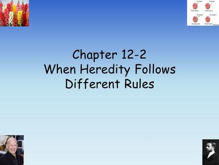 Chapter 12-2 When Heredity Follows Different Rules