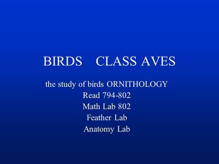 BIRDS CLASS AVES the study of birds ORNITHOLOGY Read 794-802 Math Lab 802 Feather Lab Anatomy Lab.