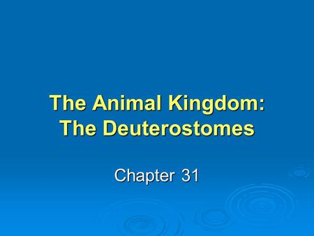 The Animal Kingdom: The Deuterostomes