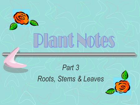 Part 3 Roots, Stems & Leaves