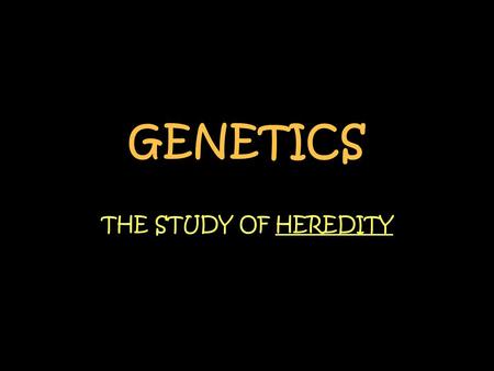 GENETICS THE STUDY OF HEREDITY.