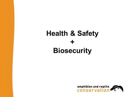 Health & Safety + Biosecurity. H&S: Risk Assessment Know where you are going Carry out a Risk Assessment –day and/or night visits? –Identify hazards on.