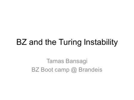 BZ and the Turing Instability Tamas Bansagi BZ Boot Brandeis.