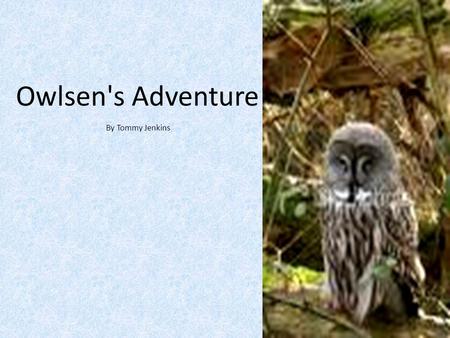 Owlsen's Adventure By Tommy Jenkins. Once upon a time there was an owl named Owslen. He lived with his sister, Owlena. They would go about doing normal.