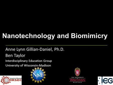 Nanotechnology and Biomimicry