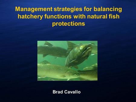 Management strategies for balancing hatchery functions with natural fish protections Brad Cavallo.