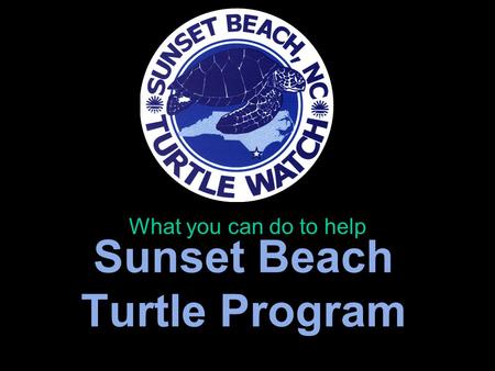 Sunset Beach Turtle Program What you can do to help.