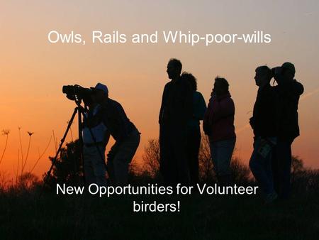 Owls, Rails and Whip-poor-wills New Opportunities for Volunteer birders!