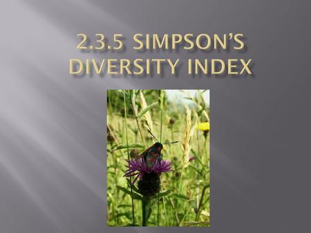  Simpson's Diversity Index is a measure of diversity. In ecology, it is often used to quantify the biodiversity of a habitat. It takes into account the.
