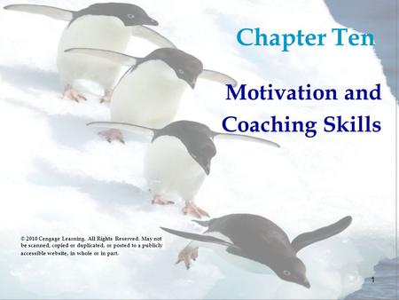 Chapter Ten Motivation and Coaching Skills