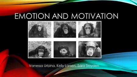 EMOTION AND MOTIVATION Vanessa Urbina, Kelly Larsen, Sara Slayden.