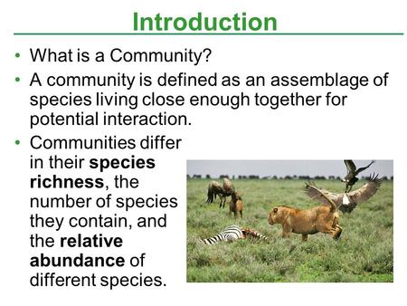 What is a Community? A community is defined as an assemblage of species living close enough together for potential interaction. Communities differ in their.