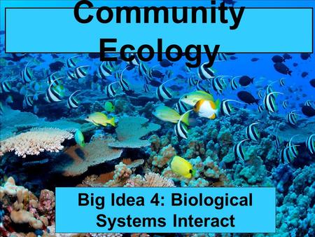 Community Ecology Big Idea 4: Biological Systems Interact.