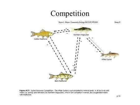 Competition. Georgii F. Gause Paramecium Competitive Exclusion Principle Two competing species cannot coexist in a stable environment if both.