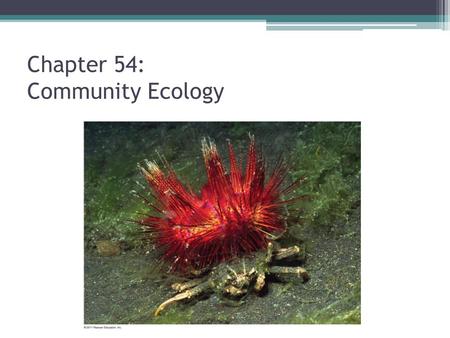 Chapter 54: Community Ecology