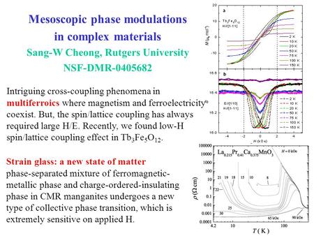 Mesoscopic phase modulations in complex materials Sang-W Cheong, Rutgers University NSF-DMR-0405682 Intriguing cross-coupling phenomena in multiferroics.