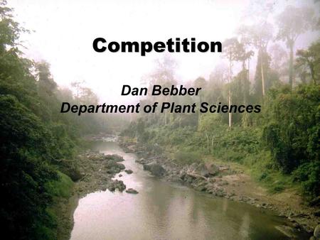Competition Dan Bebber Department of Plant Sciences.