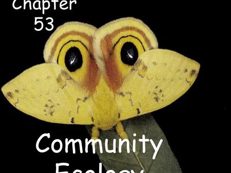 Chapter 53 Community Ecology.