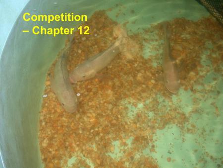 Competition – Chapter 12. Competition Resource competition – occurs when a number of organisms utilize common resources that are in short supply. Interference.