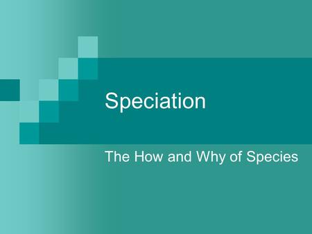 The How and Why of Species