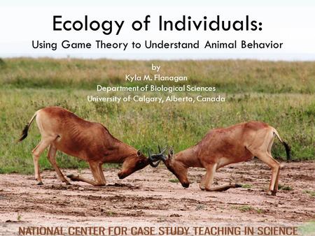 Ecology of Individuals: Using Game Theory to Understand Animal Behavior by Kyla M. Flanagan Department of Biological Sciences University of Calgary, Alberta,