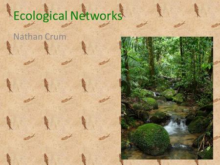 Ecological Networks Nathan Crum. Ecology Study of the interactions between organisms and their environment Study of ecosystems – Ecosystem- web/network.