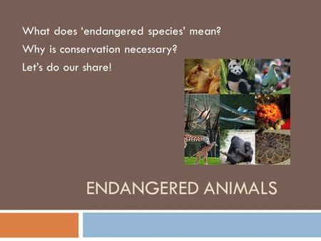 ENDANGERED ANIMALS What does ‘endangered species’ mean? Why is conservation necessary? Let’s do our share!
