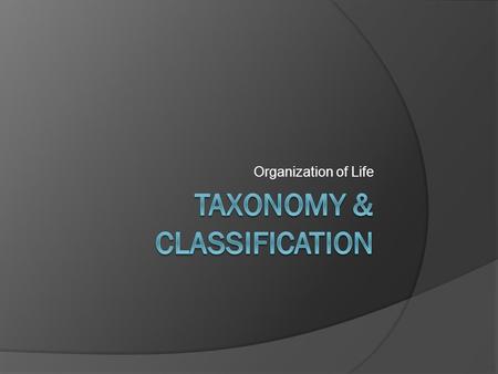 Taxonomy & Classification