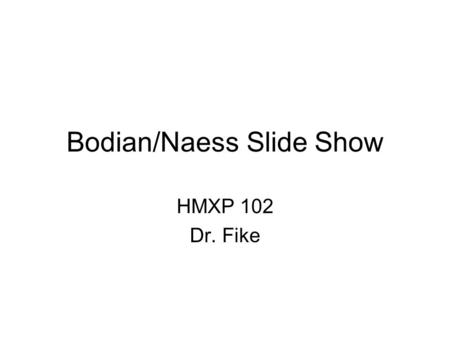 Bodian/Naess Slide Show