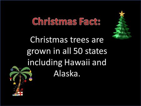 Christmas trees are grown in all 50 states including Hawaii and Alaska.