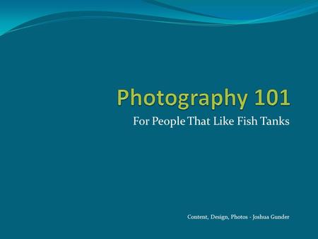 For People That Like Fish Tanks Content, Design, Photos - Joshua Gunder.