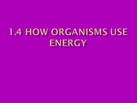 1.4 How Organisms use energy
