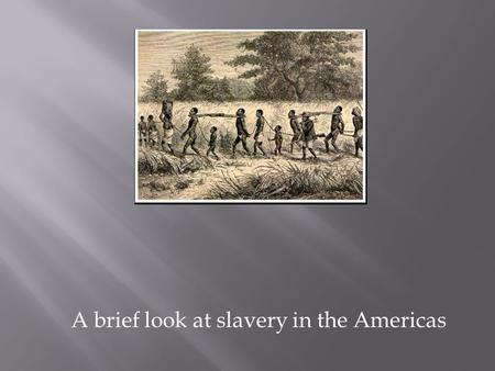 A brief look at slavery in the Americas. The slave trade was the source of many fortunes in the 17 th, 18 th and 19 th centuries.