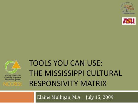 TOOLS YOU CAN USE: THE MISSISSIPPI CULTURAL RESPONSIVITY MATRIX Elaine Mulligan, M.A. July 15, 2009.