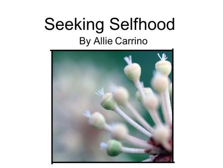 Seeking Selfhood By Allie Carrino. Artistic Statement With society being so easily influenced by the media, it’s become nearly impossible to find any.
