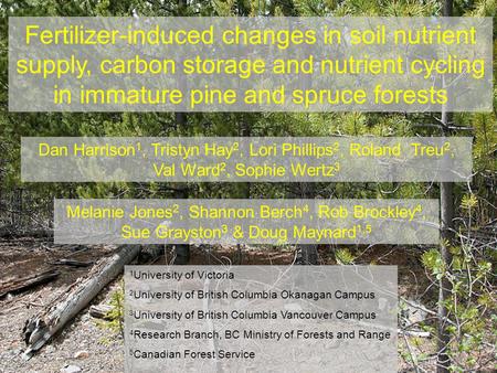 Fertilizer-induced changes in soil nutrient supply, carbon storage and nutrient cycling in immature pine and spruce forests Melanie Jones 2, Shannon Berch.